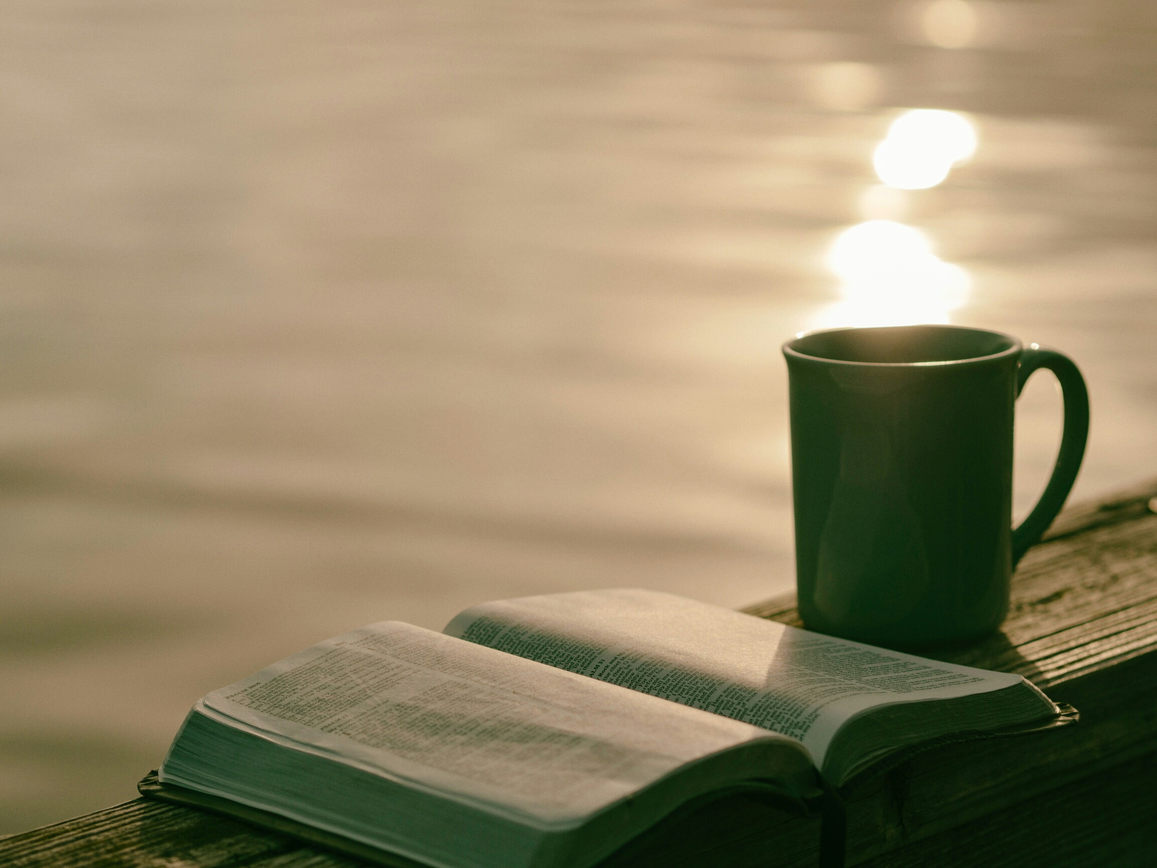 tassa i llibre davant el llac